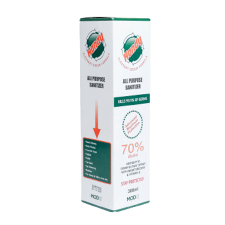 Handy Sanitizer Spray 300 ml - Image 2